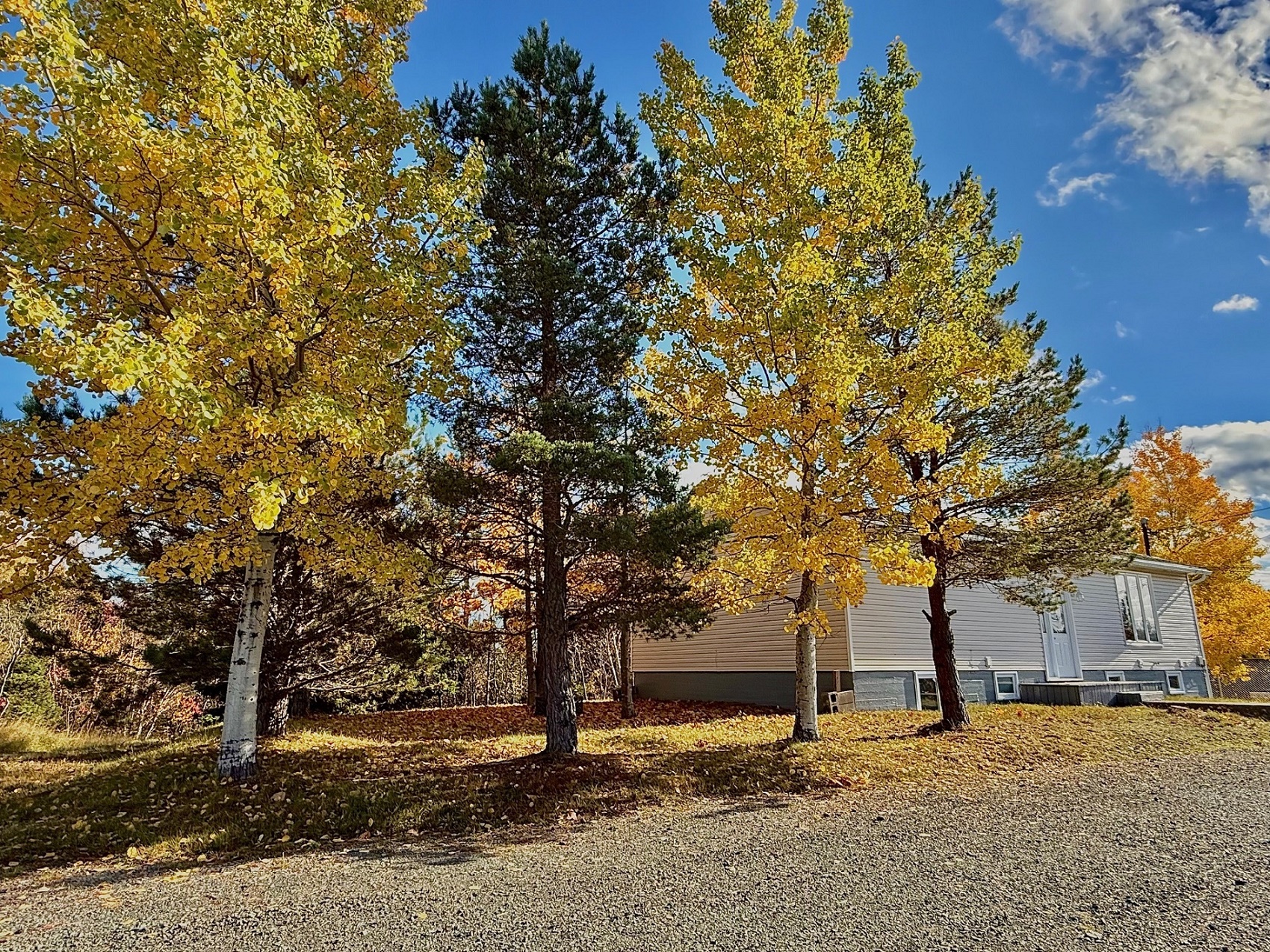 2 MEADE VIEW ROAD, CLARENVILLE, Newfoundland, Canada A5A 4M4, ,2 BathroomsBathrooms,Residential,For Sale,MEADE VIEW ROAD,6024