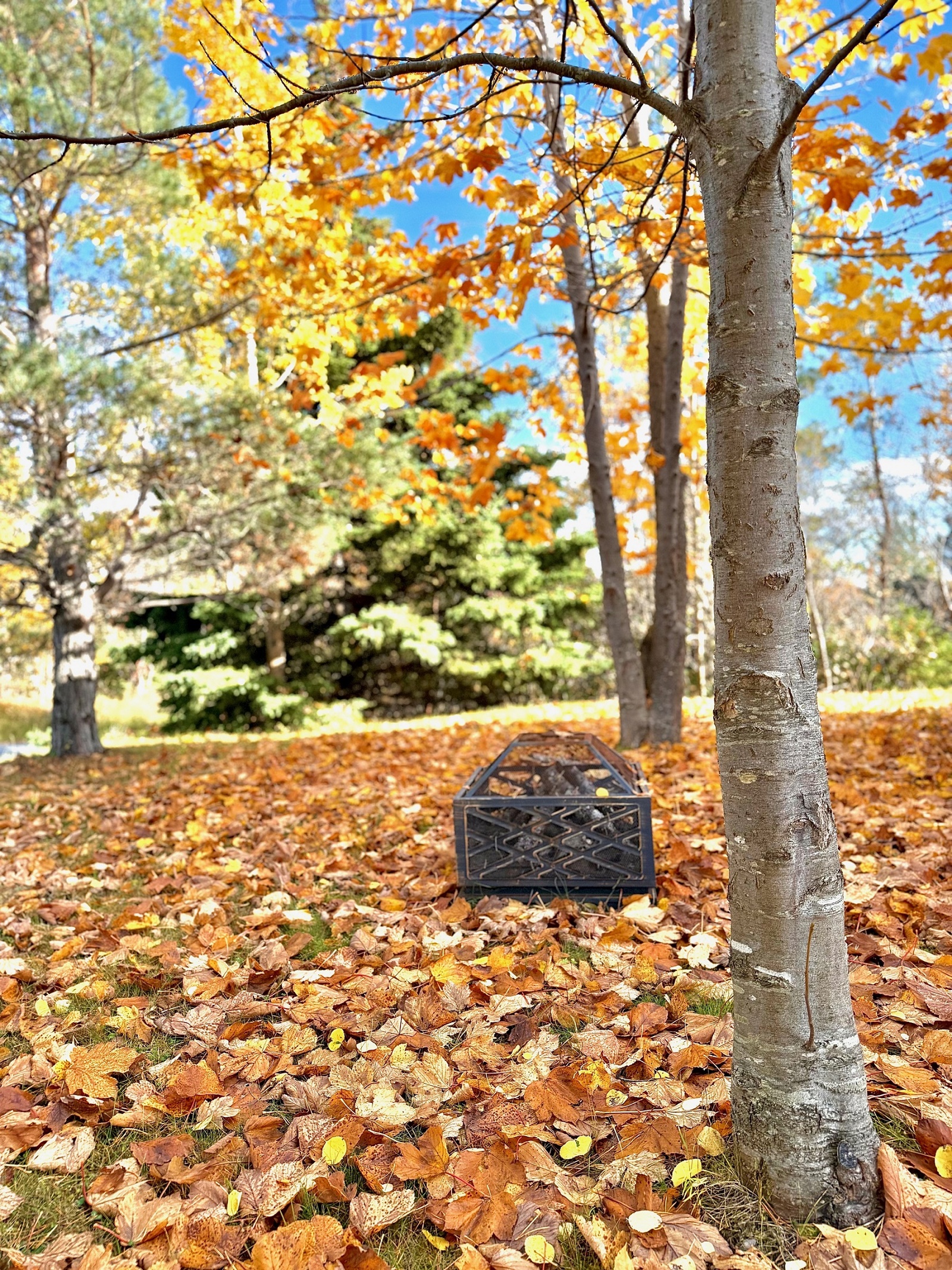 2 MEADE VIEW ROAD, CLARENVILLE, Newfoundland, Canada A5A 4M4, ,2 BathroomsBathrooms,Residential,For Sale,MEADE VIEW ROAD,6024