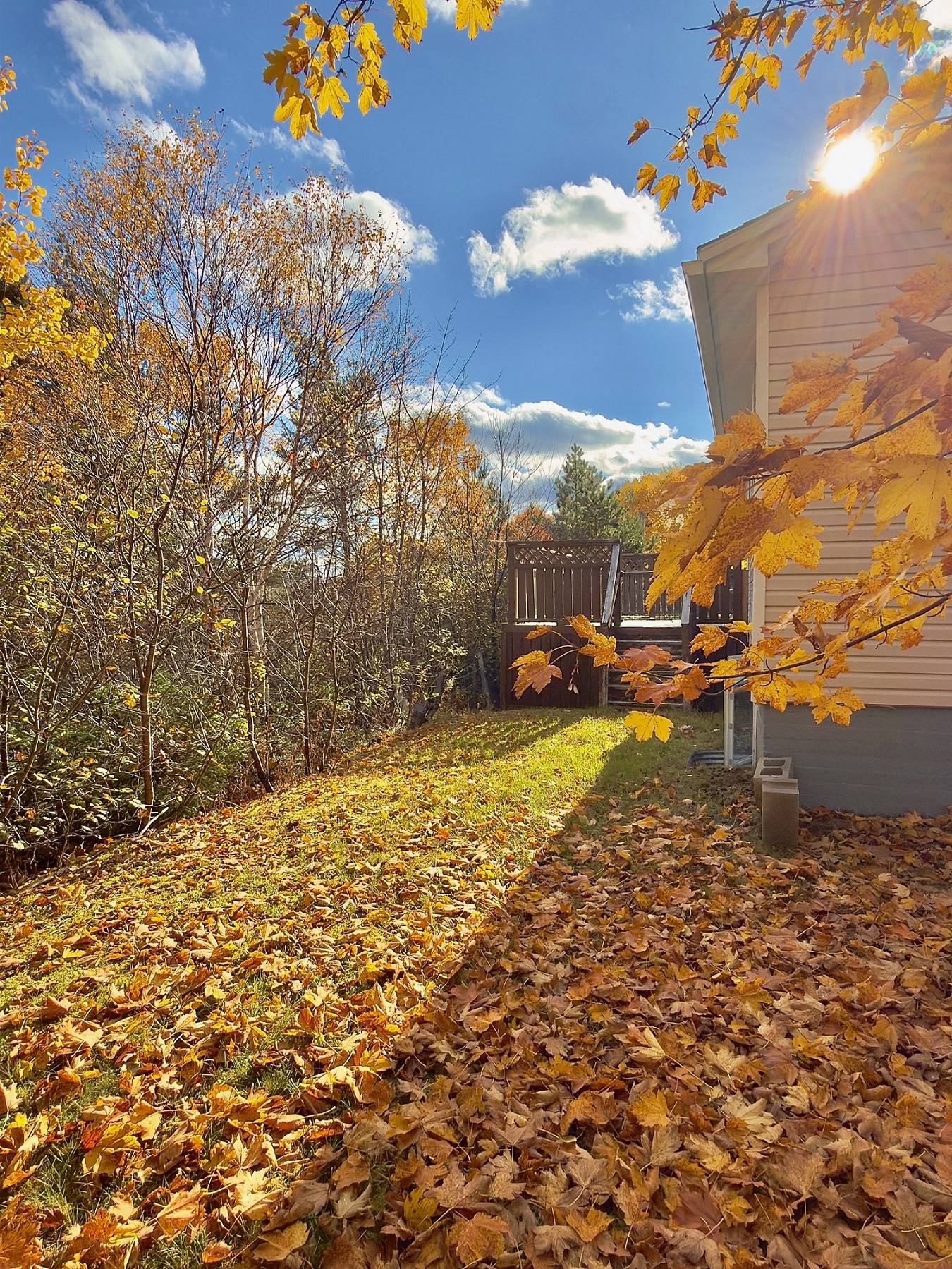 2 MEADE VIEW ROAD, CLARENVILLE, Newfoundland, Canada A5A 4M4, ,2 BathroomsBathrooms,Residential,For Sale,MEADE VIEW ROAD,6024