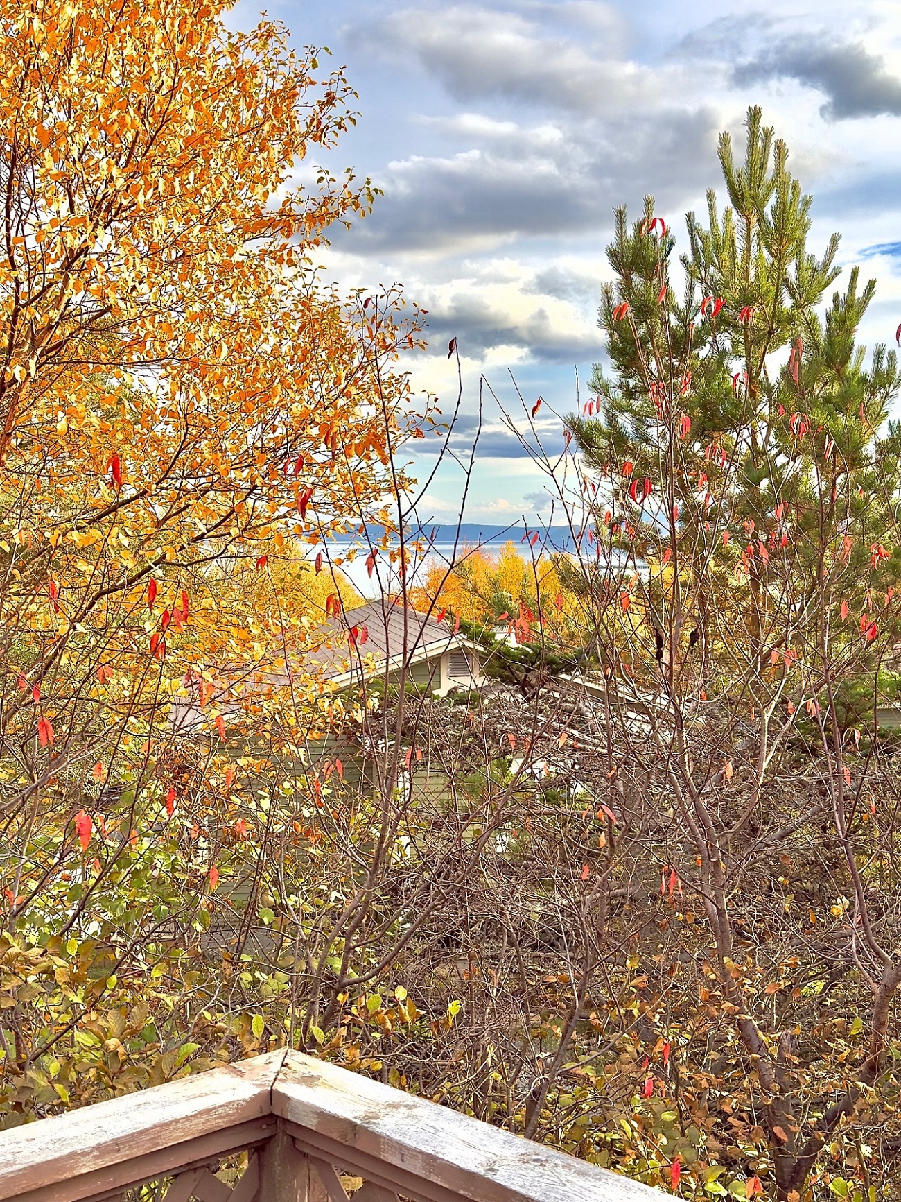 2 MEADE VIEW ROAD, CLARENVILLE, Newfoundland, Canada A5A 4M4, ,2 BathroomsBathrooms,Residential,For Sale,MEADE VIEW ROAD,6024