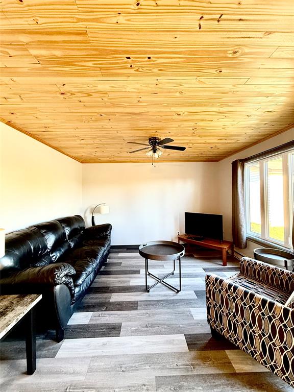 62 OCEANVIEW CRESCENT, BROOKLYN, Newfoundland, Canada A0C 1V0, ,7 BathroomsBathrooms,Commercial,Sale Pending,OCEANVIEW CRESCENT,6032