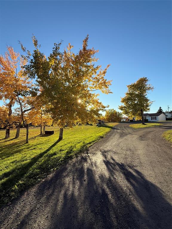 62 OCEANVIEW CRESCENT, BROOKLYN, Newfoundland, Canada A0C 1V0, ,7 BathroomsBathrooms,Commercial,Sale Pending,OCEANVIEW CRESCENT,6032