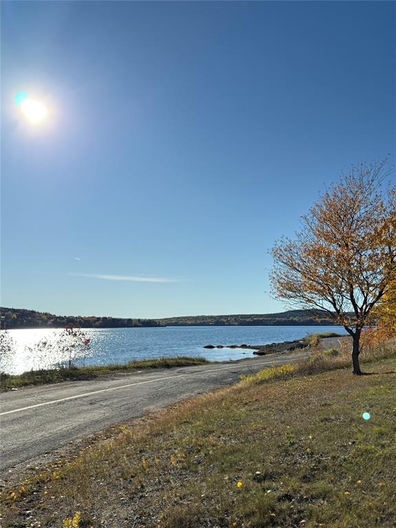 62 OCEANVIEW CRESCENT, BROOKLYN, Newfoundland, Canada A0C 1V0, ,7 BathroomsBathrooms,Commercial,Sale Pending,OCEANVIEW CRESCENT,6032