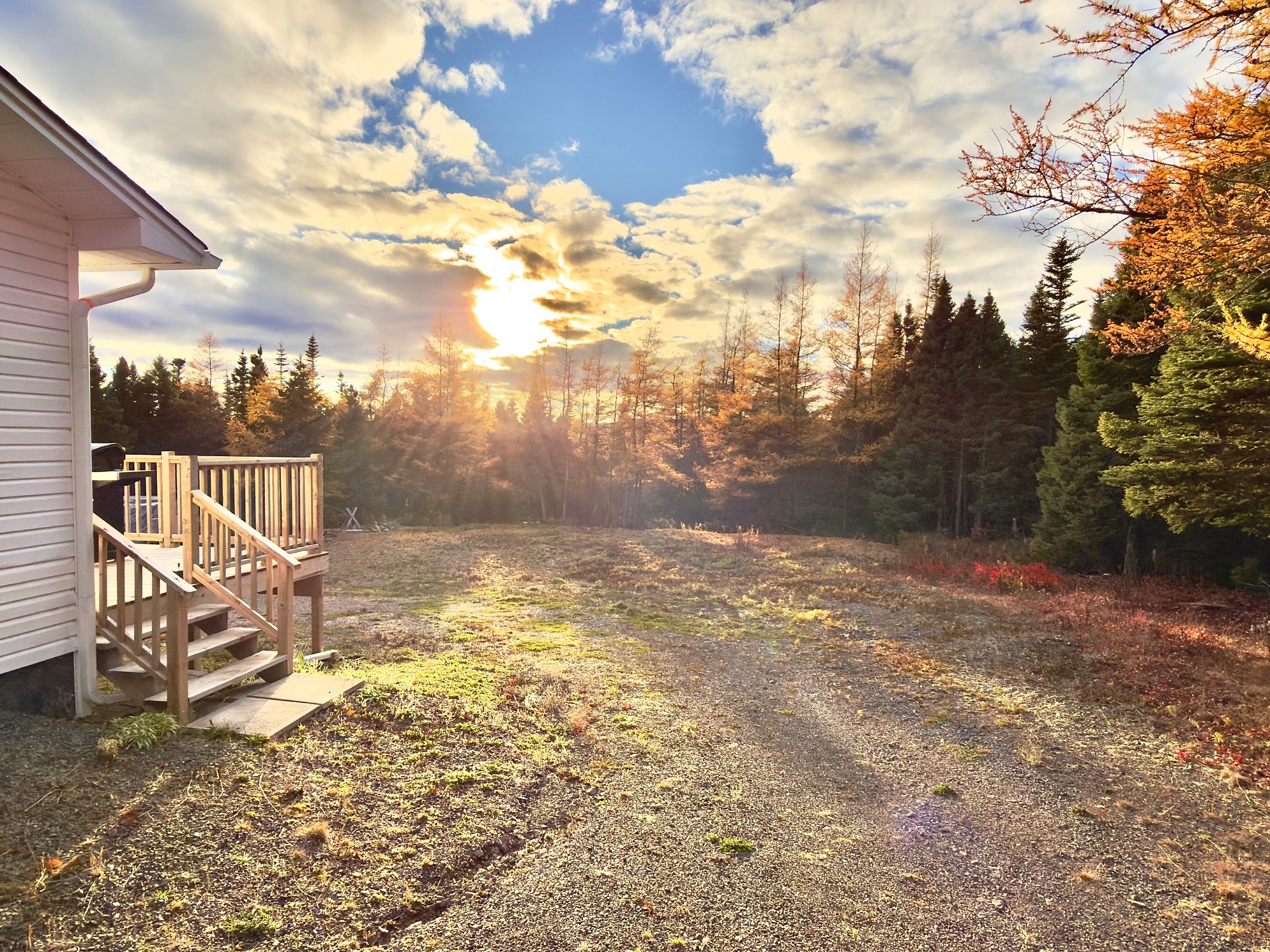 412 RANDOM ISLAND ROAD, RANDOM HEIGHTS, Newfoundland, Canada A5A 3A1, ,1 BathroomBathrooms,Residential,Sold,RANDOM ISLAND ROAD,6033