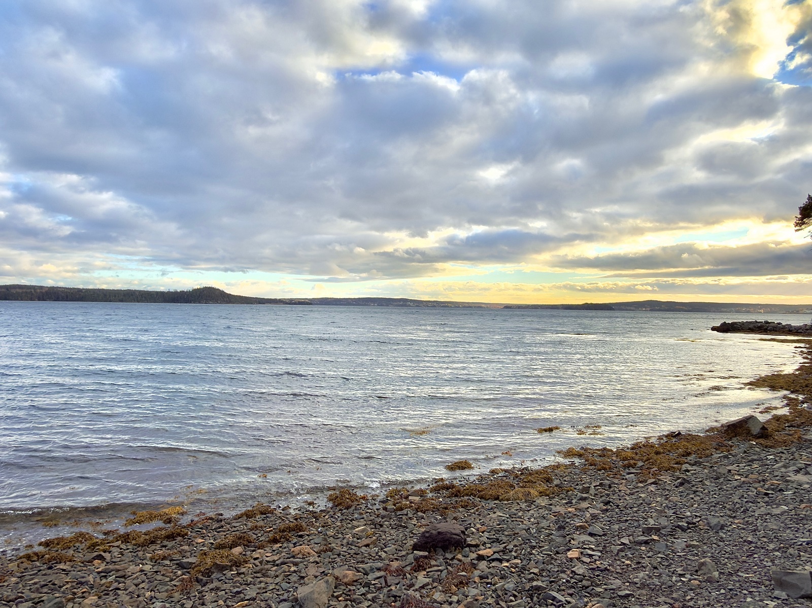 144 GOOSE BAY DRIVE, MUSGRAVETOWN, Newfoundland, Canada A0C 1Z0, ,1 BathroomBathrooms,Residential,For Sale,GOOSE BAY DRIVE,6036