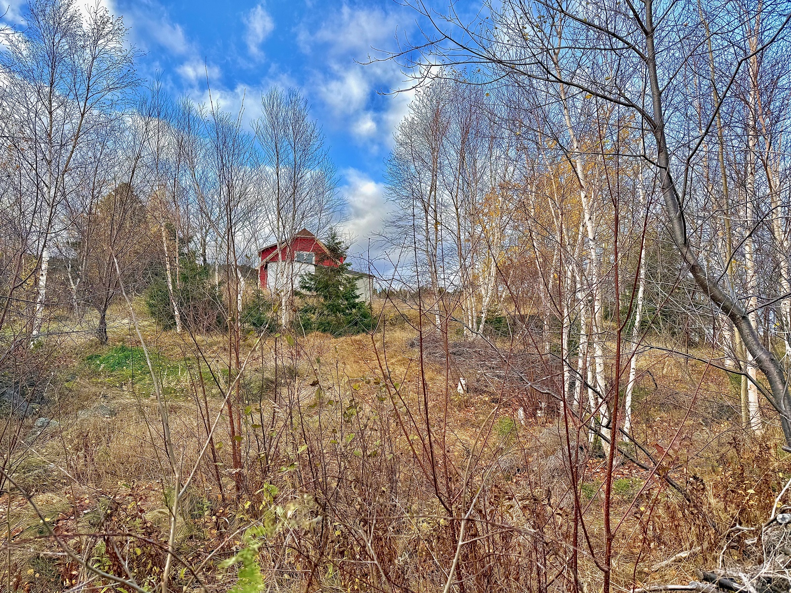 144 GOOSE BAY DRIVE, MUSGRAVETOWN, Newfoundland, Canada A0C 1Z0, ,1 BathroomBathrooms,Residential,For Sale,GOOSE BAY DRIVE,6036