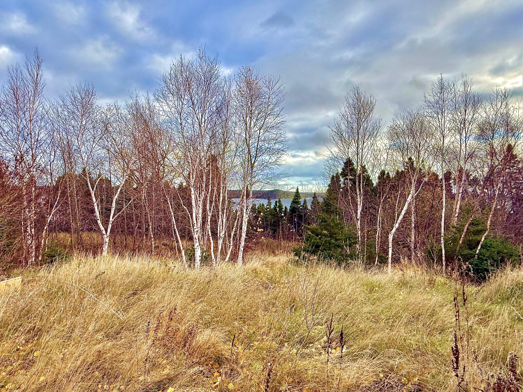 144 GOOSE BAY DRIVE, MUSGRAVETOWN, Newfoundland, Canada A0C 1Z0, ,1 BathroomBathrooms,Residential,For Sale,GOOSE BAY DRIVE,6036