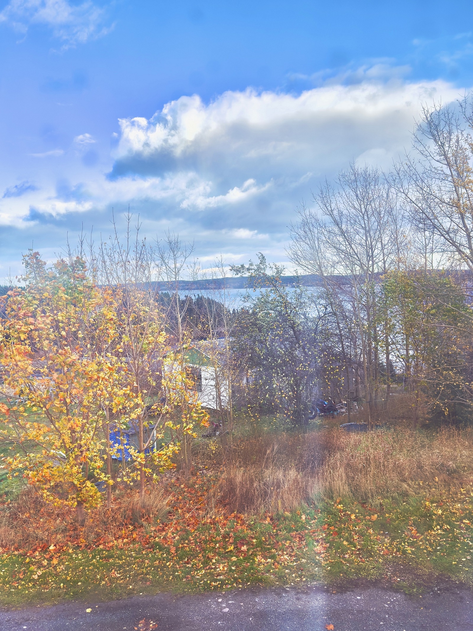 144 GOOSE BAY DRIVE, MUSGRAVETOWN, Newfoundland, Canada A0C 1Z0, ,1 BathroomBathrooms,Residential,For Sale,GOOSE BAY DRIVE,6036