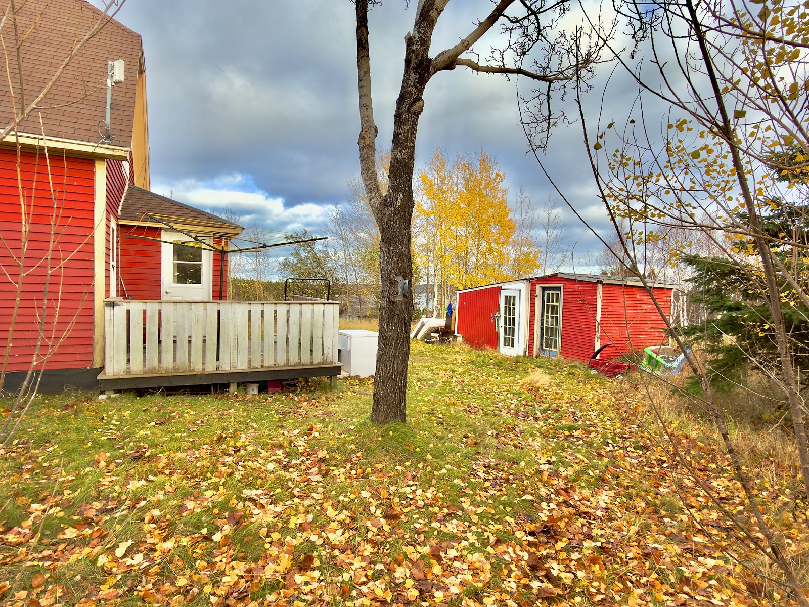 144 GOOSE BAY DRIVE, MUSGRAVETOWN, Newfoundland, Canada A0C 1Z0, ,1 BathroomBathrooms,Residential,For Sale,GOOSE BAY DRIVE,6036