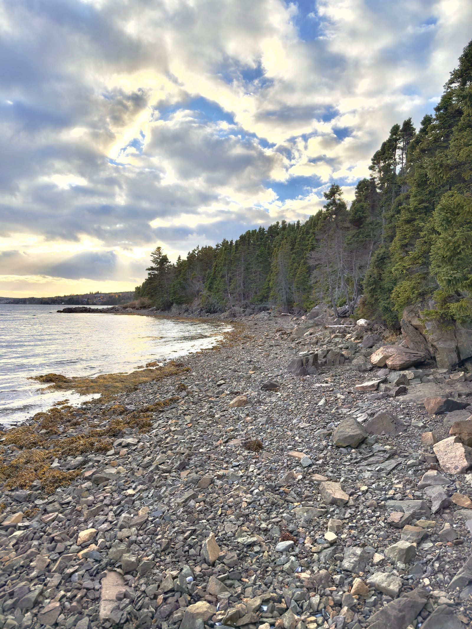 144 GOOSE BAY DRIVE, MUSGRAVETOWN, Newfoundland, Canada A0C 1Z0, ,1 BathroomBathrooms,Residential,For Sale,GOOSE BAY DRIVE,6036