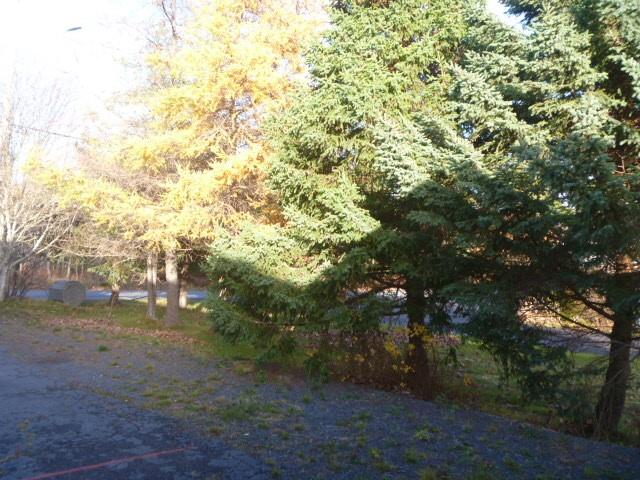 25 PENNYS HILL, VICTORIA, Newfoundland, Canada A0A 4G0, ,2 BathroomsBathrooms,Residential,Sale Pending,PENNYS HILL,6039