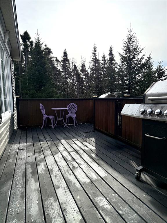 2 MAIN ROAD, GOOSEBERRY COVE, Newfoundland, Canada A0E 2A0, ,1 BathroomBathrooms,Residential,Sale Pending,MAIN ROAD,6040