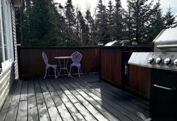 2 MAIN ROAD, GOOSEBERRY COVE, Newfoundland, Canada A0E 2A0, ,1 BathroomBathrooms,Residential,Sale Pending,MAIN ROAD,6040