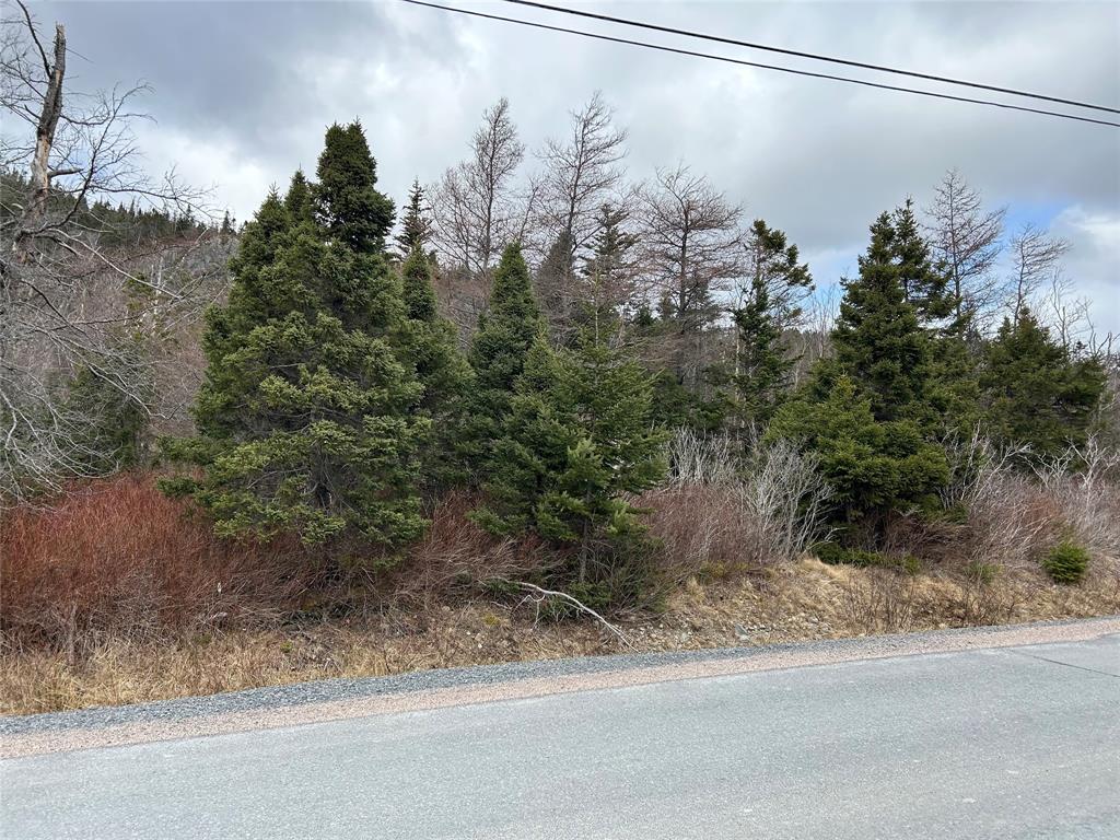 LOT # 1 MAIN ROAD, NORTH RIVER, Newfoundland, Canada A0A 3C0, ,0,Land,For Sale,MAIN ROAD,6044