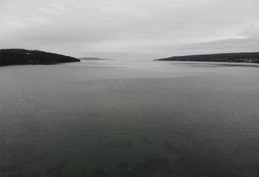 109 CONCEPTION BAY HIGHWAY, CLARKE'S BEACH, Newfoundland, Canada A0A 1W0, ,1 BathroomBathrooms,Mixed,For Sale,CONCEPTION BAY HIGHWAY,6048