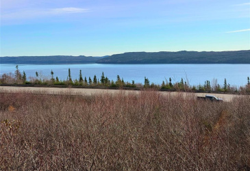 0 OLD TRANS CANADA ROAD, DEEP BIGHT, Newfoundland, Canada A0E 2B0, ,0,Residential,For Sale,OLD TRANS CANADA ROAD,6050