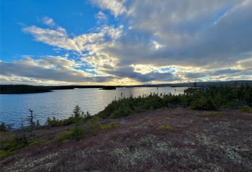 LOT 00 GULL POND, NORTH WEST BROOK, Newfoundland, Canada A0E 2P0, ,1 BathroomBathrooms,Residential,For Sale,GULL POND,6051 LOT 00 GULL POND, NORTH WEST BROOK, Newfoundland, Canada A0E 2P0, ,1 BathroomBathrooms,Residential,For Sale,GULL POND,6051