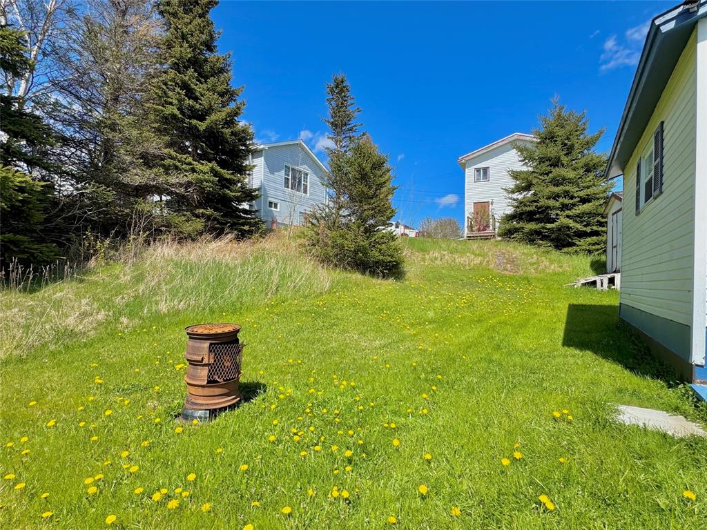 17 BRYAN HOLE ROAD, CHARLOTTETOWN, Newfoundland, Canada A0C 1L0, ,2 BathroomsBathrooms,Residential,Sale Pending,BRYAN HOLE ROAD,6053