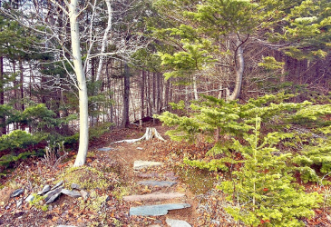 112 TERRA NOVA DRIVE, CLARENVILLE, Newfoundland, Canada A5A 1Y8, ,3 BathroomsBathrooms,Residential,For Sale,TERRA NOVA DRIVE,6062