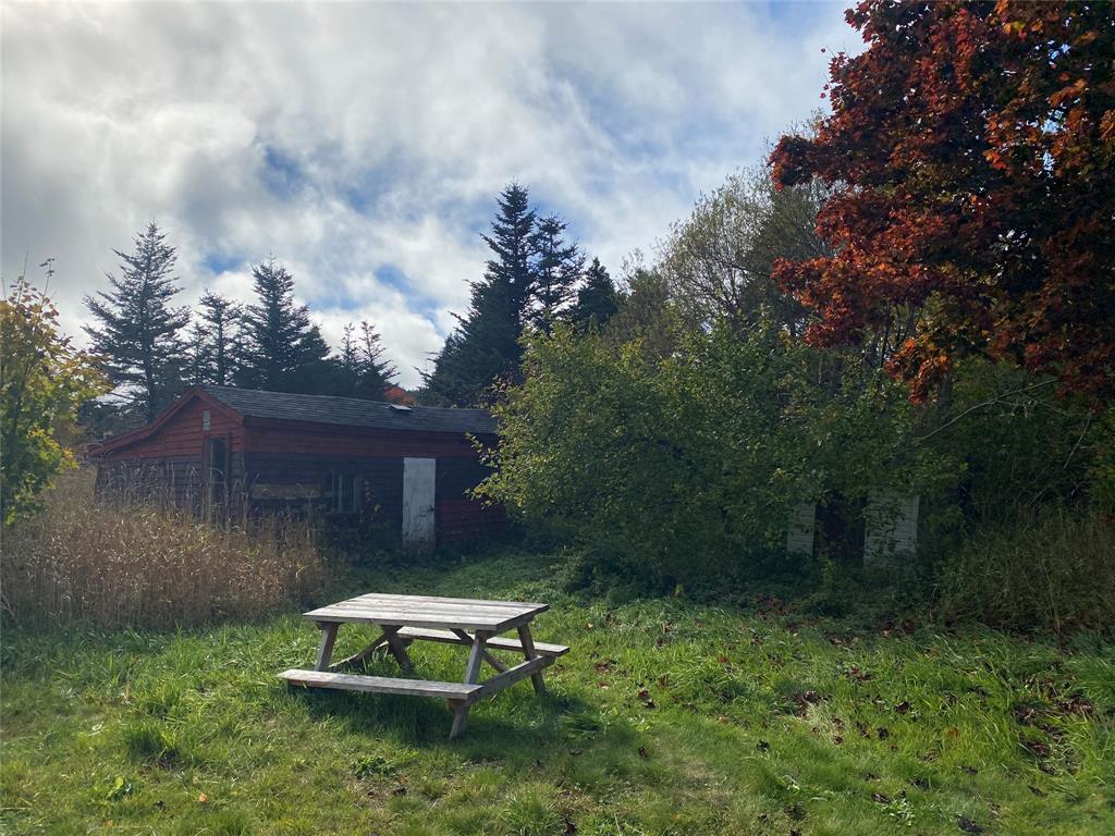 129 ROACHES LINE ROAD, ROACHES LINE, Newfoundland, Canada A0A 1W0, ,1 BathroomBathrooms,Residential,For Sale,ROACHES LINE ROAD,6067
