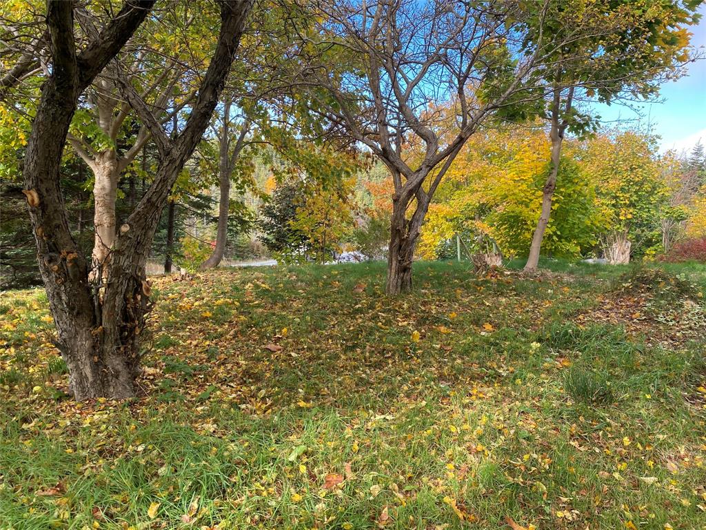 129 ROACHES LINE ROAD, ROACHES LINE, Newfoundland, Canada A0A 1W0, ,1 BathroomBathrooms,Residential,For Sale,ROACHES LINE ROAD,6067