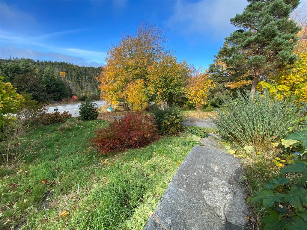 129 ROACHES LINE ROAD, ROACHES LINE, Newfoundland, Canada A0A 1W0, ,1 BathroomBathrooms,Residential,For Sale,ROACHES LINE ROAD,6067