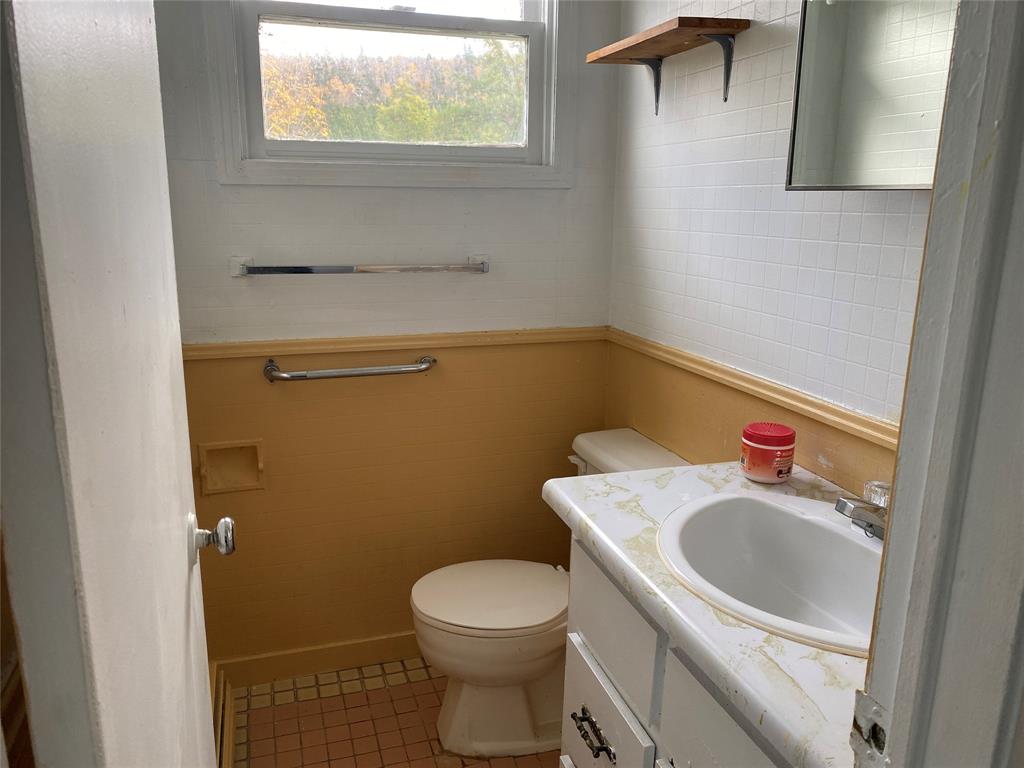 129 ROACHES LINE ROAD, ROACHES LINE, Newfoundland, Canada A0A 1W0, ,1 BathroomBathrooms,Residential,For Sale,ROACHES LINE ROAD,6067