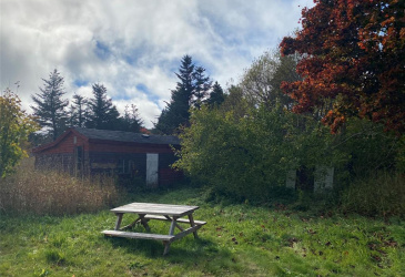 129 ROACHES LINE ROAD, ROACHES LINE, Newfoundland, Canada A0A 1W0, ,1 BathroomBathrooms,Residential,For Sale,ROACHES LINE ROAD,6067 129 ROACHES LINE ROAD, ROACHES LINE, Newfoundland, Canada A0A 1W0, ,1 BathroomBathrooms,Residential,For Sale,ROACHES LINE ROAD,6067