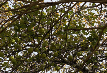 129 ROACHES LINE ROAD, ROACHES LINE, Newfoundland, Canada A0A 1W0, ,1 BathroomBathrooms,Residential,For Sale,ROACHES LINE ROAD,6067 129 ROACHES LINE ROAD, ROACHES LINE, Newfoundland, Canada A0A 1W0, ,1 BathroomBathrooms,Residential,For Sale,ROACHES LINE ROAD,6067