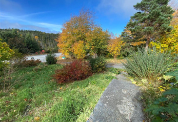 129 ROACHES LINE ROAD, ROACHES LINE, Newfoundland, Canada A0A 1W0, ,1 BathroomBathrooms,Residential,For Sale,ROACHES LINE ROAD,6067 129 ROACHES LINE ROAD, ROACHES LINE, Newfoundland, Canada A0A 1W0, ,1 BathroomBathrooms,Residential,For Sale,ROACHES LINE ROAD,6067