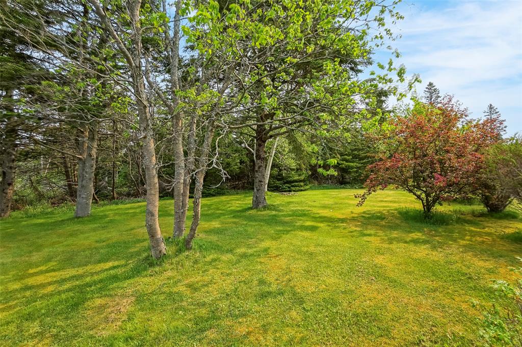 355 ROACHES LINE, ROACHES LINE, Newfoundland, Canada A0A 1W0, ,1 BathroomBathrooms,Residential,For Sale,ROACHES LINE,6072