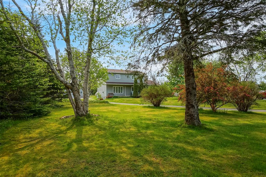 355 ROACHES LINE, ROACHES LINE, Newfoundland, Canada A0A 1W0, ,1 BathroomBathrooms,Residential,For Sale,ROACHES LINE,6072