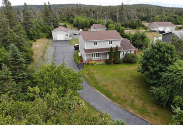 355 ROACHES LINE, ROACHES LINE, Newfoundland, Canada A0A 1W0, ,1 BathroomBathrooms,Residential,For Sale,ROACHES LINE,6072