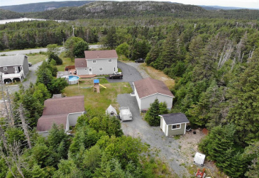 355 ROACHES LINE, ROACHES LINE, Newfoundland, Canada A0A 1W0, ,1 BathroomBathrooms,Residential,For Sale,ROACHES LINE,6072