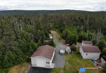 355 ROACHES LINE, ROACHES LINE, Newfoundland, Canada A0A 1W0, ,1 BathroomBathrooms,Residential,For Sale,ROACHES LINE,6072