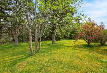 355 ROACHES LINE, ROACHES LINE, Newfoundland, Canada A0A 1W0, ,1 BathroomBathrooms,Residential,For Sale,ROACHES LINE,6072