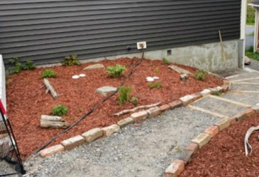 1 CHURCH STREET, CARBONEAR, Newfoundland, Canada A1Y 1A9, ,1 BathroomBathrooms,Residential,For Sale,CHURCH STREET,6074