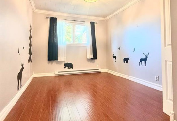 60 CORMACK DRIVE, CLARENVILLE, Newfoundland, Canada A5A 1C6, ,3 BathroomsBathrooms,Residential,For Sale,CORMACK DRIVE,6075