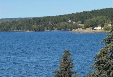 182 BAYSIDE DRIVE, LETHBRIDGE, Newfoundland, Canada A0C 1V0, ,1 BathroomBathrooms,Residential,For Sale,BAYSIDE DRIVE,6076