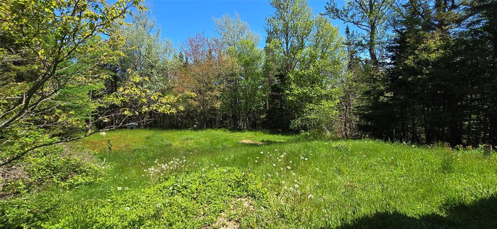 136 WINTERLAND ROAD, BURIN BAY ARM, Newfoundland, Canada A0E 1G0, ,1 BathroomBathrooms,Residential,For Sale,WINTERLAND ROAD,6079