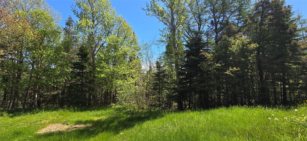 136 WINTERLAND ROAD, BURIN BAY ARM, Newfoundland, Canada A0E 1G0, ,1 BathroomBathrooms,Residential,For Sale,WINTERLAND ROAD,6079