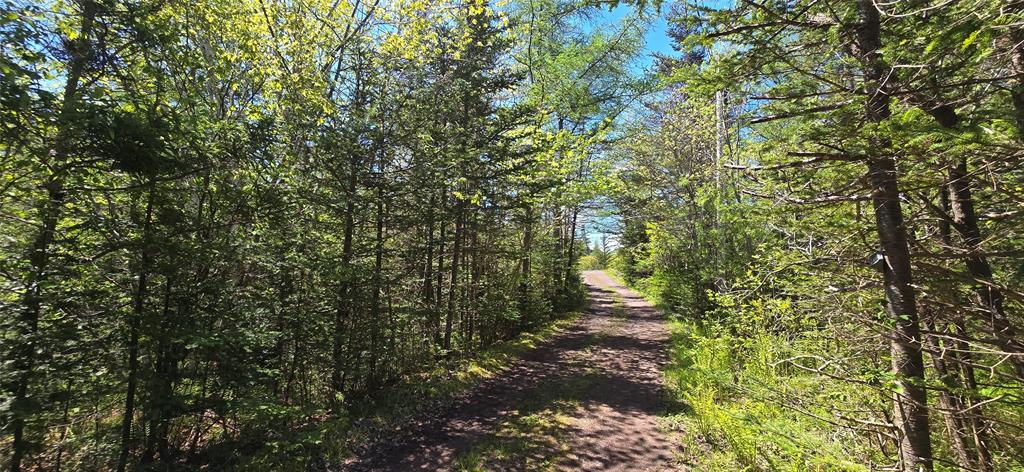 136 WINTERLAND ROAD, BURIN BAY ARM, Newfoundland, Canada A0E 1G0, ,1 BathroomBathrooms,Residential,For Sale,WINTERLAND ROAD,6079