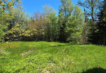 136 WINTERLAND ROAD, BURIN BAY ARM, Newfoundland, Canada A0E 1G0, ,1 BathroomBathrooms,Residential,For Sale,WINTERLAND ROAD,6079 136 WINTERLAND ROAD, BURIN BAY ARM, Newfoundland, Canada A0E 1G0, ,1 BathroomBathrooms,Residential,For Sale,WINTERLAND ROAD,6079