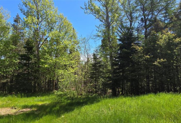 136 WINTERLAND ROAD, BURIN BAY ARM, Newfoundland, Canada A0E 1G0, ,1 BathroomBathrooms,Residential,For Sale,WINTERLAND ROAD,6079 136 WINTERLAND ROAD, BURIN BAY ARM, Newfoundland, Canada A0E 1G0, ,1 BathroomBathrooms,Residential,For Sale,WINTERLAND ROAD,6079