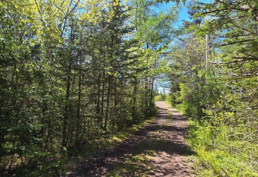 136 WINTERLAND ROAD, BURIN BAY ARM, Newfoundland, Canada A0E 1G0, ,1 BathroomBathrooms,Residential,For Sale,WINTERLAND ROAD,6079 136 WINTERLAND ROAD, BURIN BAY ARM, Newfoundland, Canada A0E 1G0, ,1 BathroomBathrooms,Residential,For Sale,WINTERLAND ROAD,6079