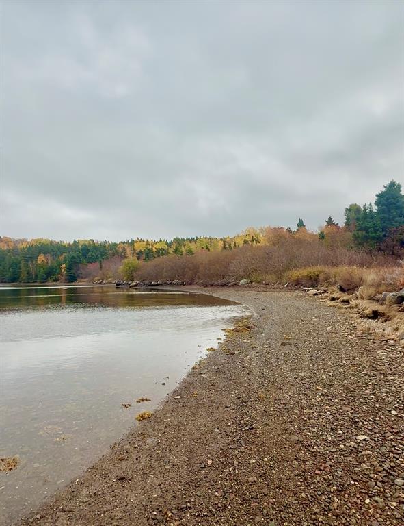 147 BAYSIDE DRIVE, LETHBRIDGE, Newfoundland, Canada A0C 1V0, ,0,Land,For Sale,BAYSIDE DRIVE,6080