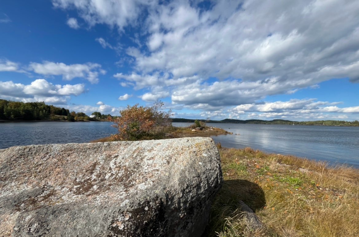 147 BAYSIDE DRIVE, LETHBRIDGE, Newfoundland, Canada A0C 1V0, ,0,Land,For Sale,BAYSIDE DRIVE,6080