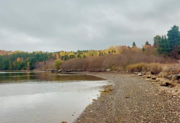 147 BAYSIDE DRIVE, LETHBRIDGE, Newfoundland, Canada A0C 1V0, ,0,Land,For Sale,BAYSIDE DRIVE,6080