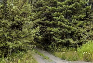 147 BAYSIDE DRIVE, LETHBRIDGE, Newfoundland, Canada A0C 1V0, ,0,Land,For Sale,BAYSIDE DRIVE,6080