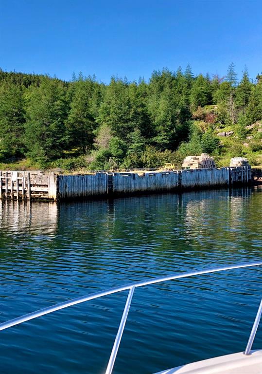 0 MAIN ROAD, DEER HARBOUR, Newfoundland, Canada A0C 1P0, ,0,Residential,For Sale,MAIN ROAD,6081